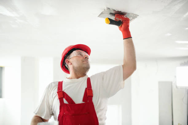  West Long Branch, NJ Mold Removal Pros